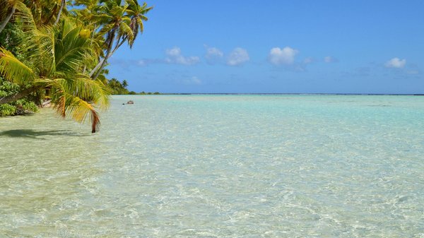 Peut-on apprendre l'allemand facilement ?