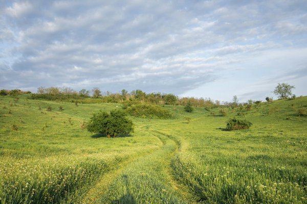 Qu'est-ce que signifie le mot 'quinientos' en espagnol?